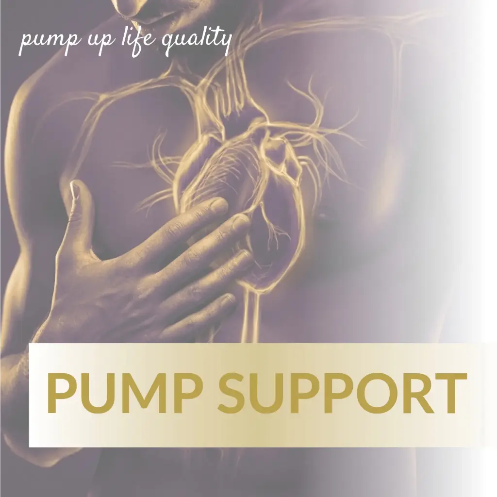 Pump Support
