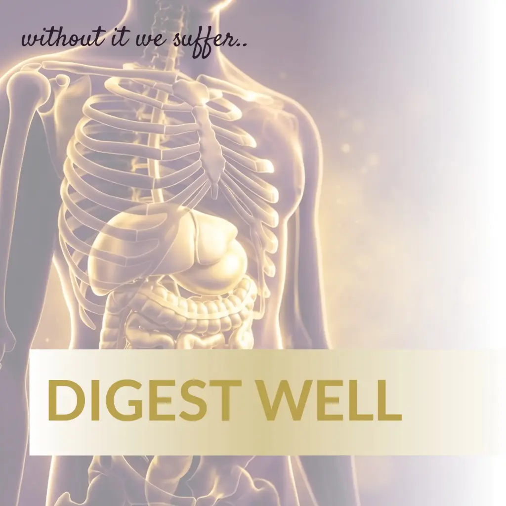 Digest Well