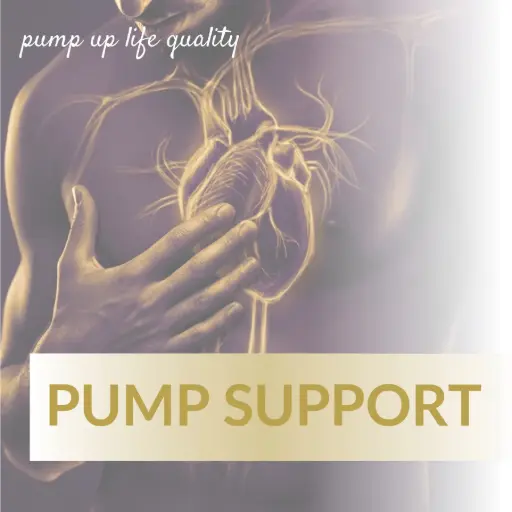 [HC16] Pump Support