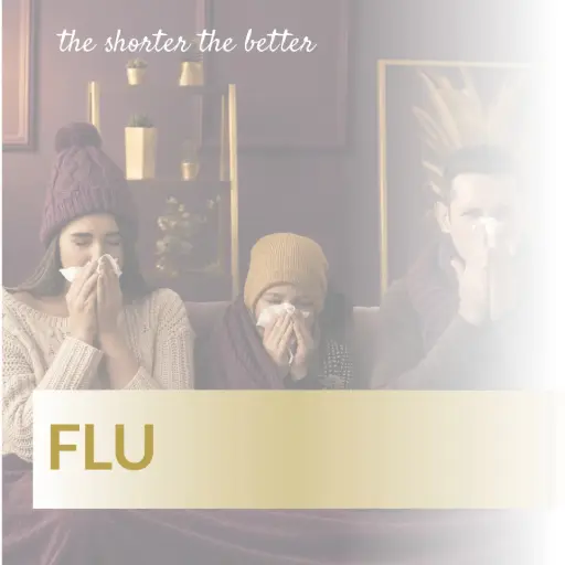 [FU14] Flu