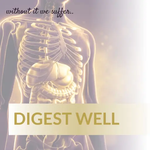 [DW12] Digest Well